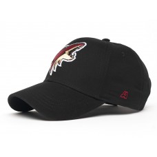 31231 БЕЙСБОЛКА NHL ARIZONA COYOTES